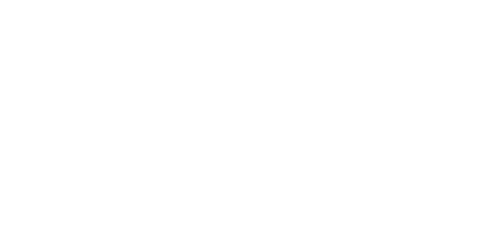 Meta Business Partner
